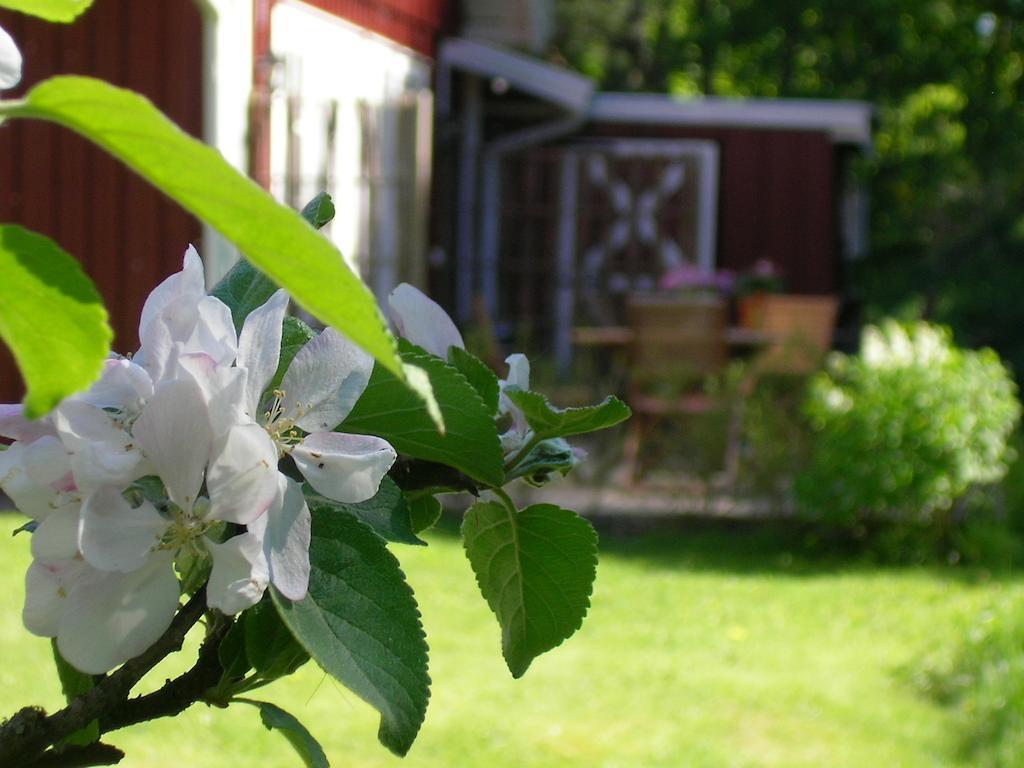 Bergastugan I Skrea Bed & Breakfast Falkenberg Exteriör bild